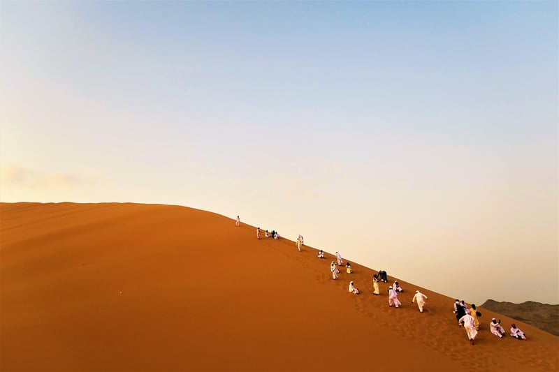 Desert Exploration